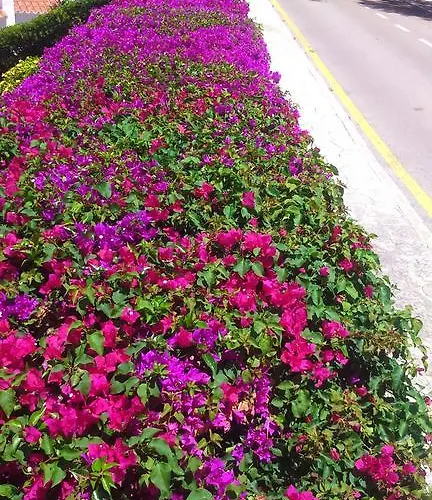 Panorama Y Mirador Вилла