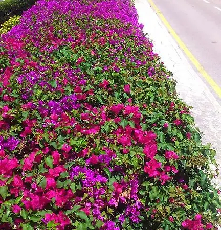 Panorama Y Mirador Villa